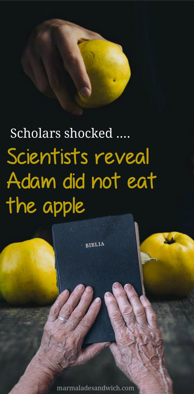 adam did not eat an apple in Garden of Eden