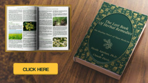 The Lost Book Of Herbal Remedies