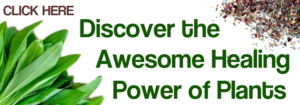 healing power of plants in herbal remedies