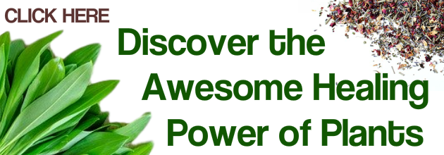 healing power of plants